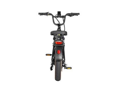 AIMA Big Sur Sport Ebike - view 11