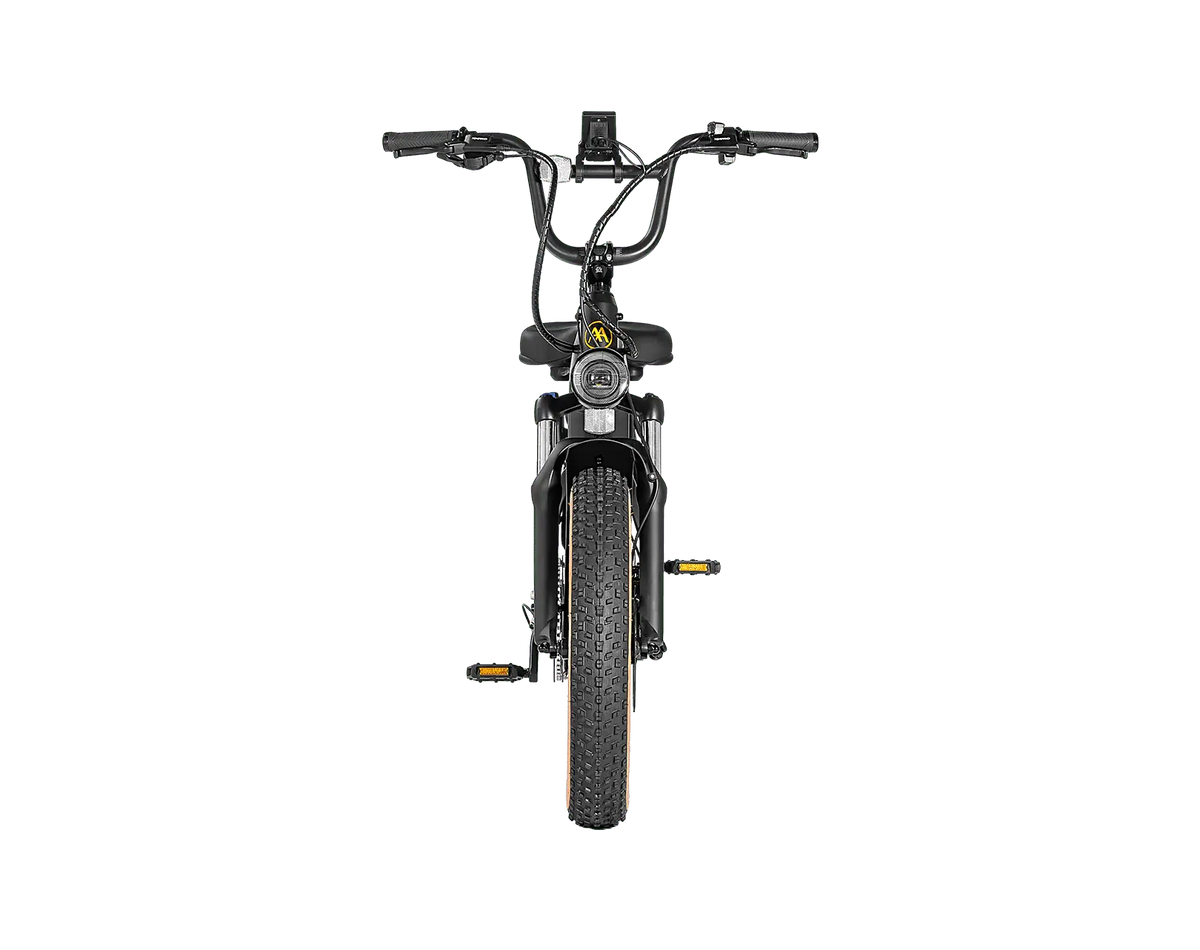 AIMA Big Sur Sport Ebike - view 15