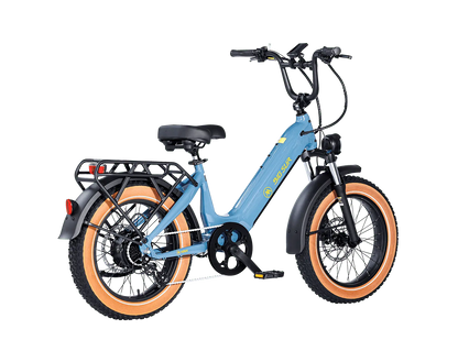 AIMA Big Sur Sport Ebike - view 18
