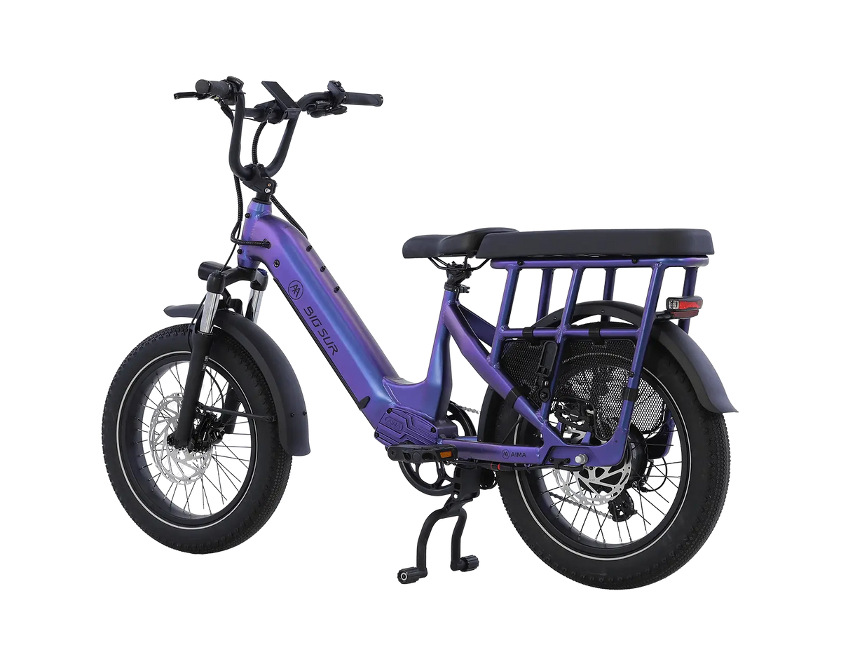 AIMA Big Sur U Cargo Ebike - view 4