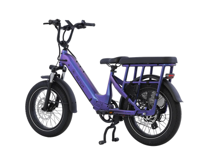 AIMA Big Sur U Cargo Ebike - view 4