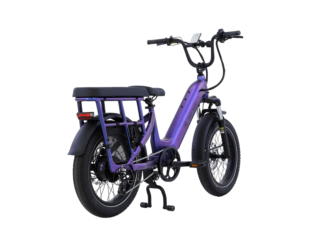AIMA Big Sur U Cargo Ebike - view 2
