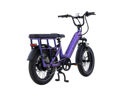 AIMA Big Sur U Cargo Ebike - view 2