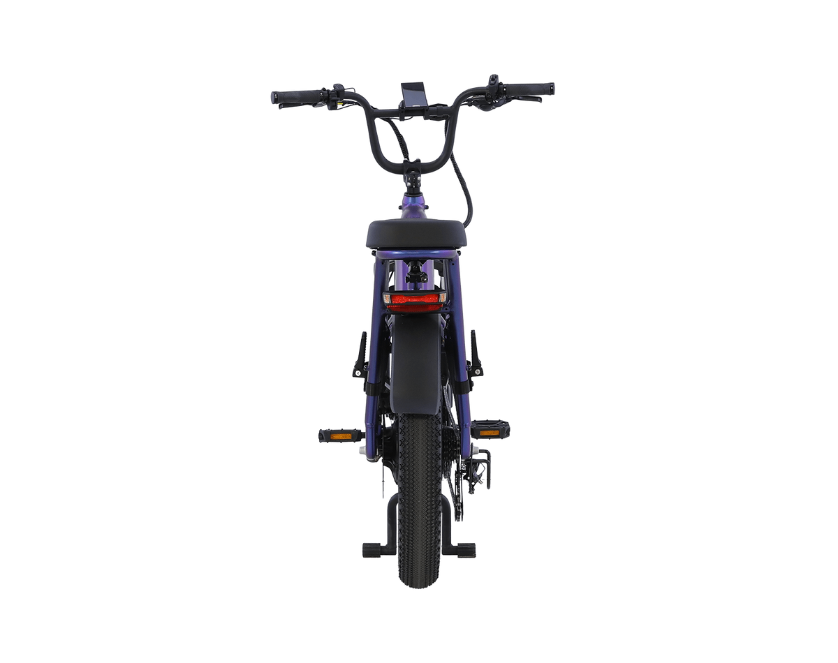 AIMA Big Sur U Cargo Ebike - view 3