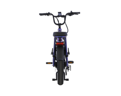 AIMA Big Sur U Cargo Ebike - view 3