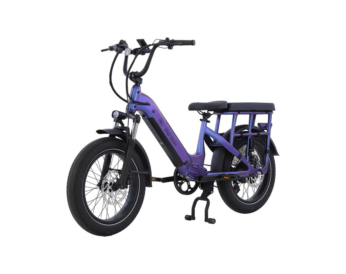 AIMA Big Sur U Cargo Ebike - view 6