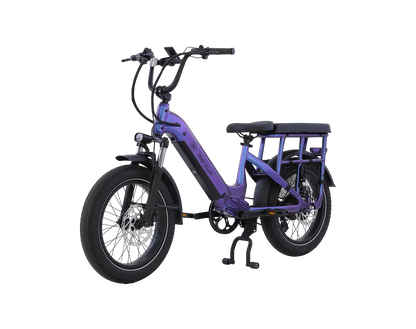 AIMA Big Sur U Cargo Ebike - view 6