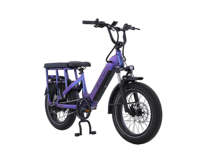 AIMA Big Sur U Cargo Ebike - view 8