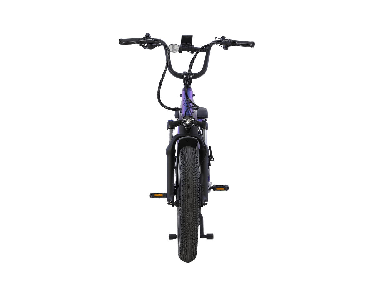 AIMA Big Sur U Cargo Ebike - view 7