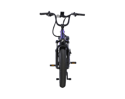 AIMA Big Sur U Cargo Ebike - view 7