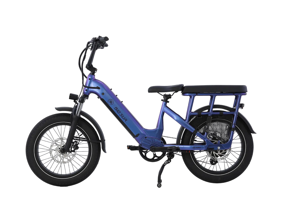 AIMA Big Sur U Cargo Ebike - view 5