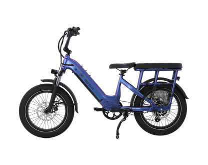 AIMA Big Sur U Cargo Ebike - view 5