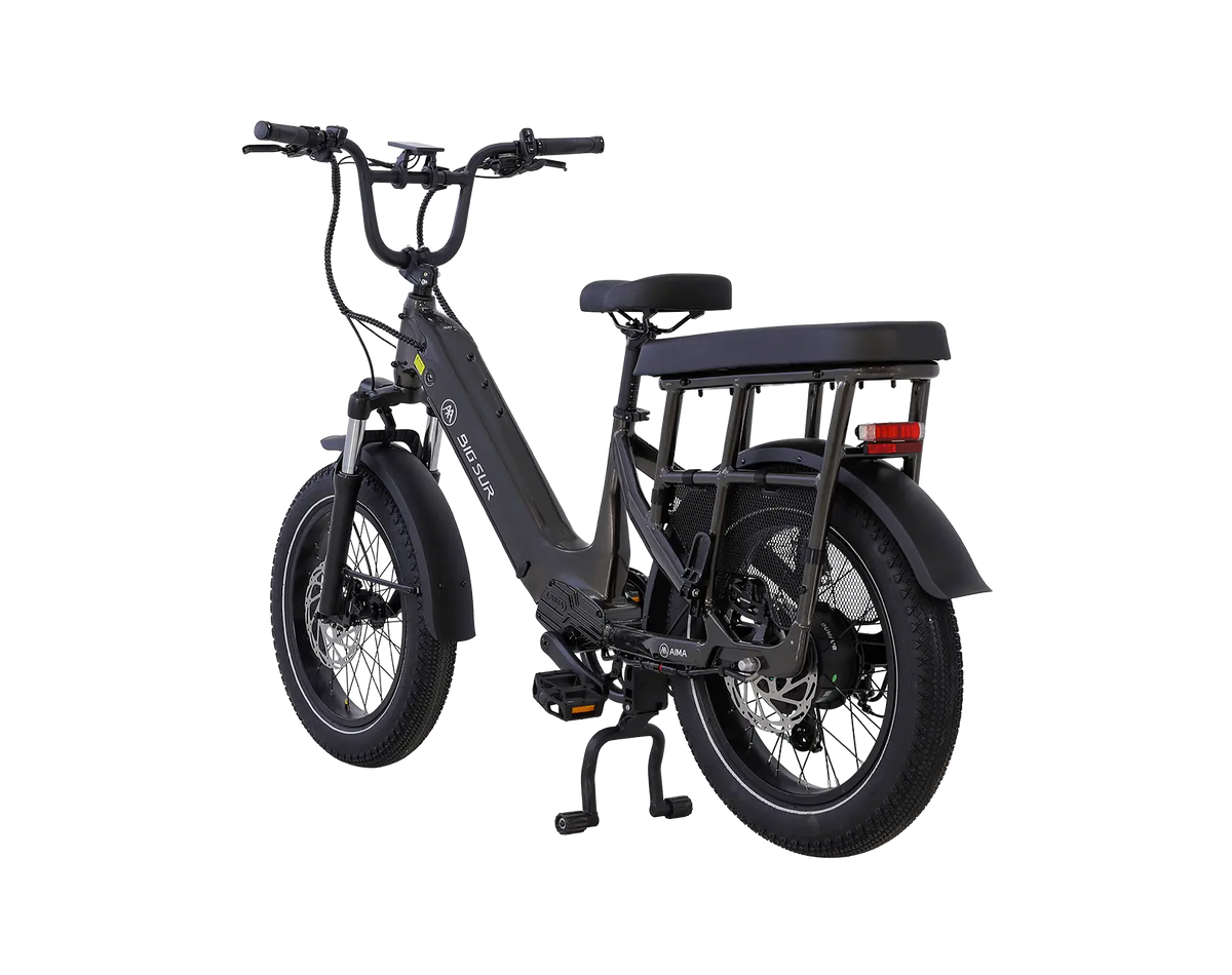 AIMA Big Sur U Cargo Ebike - view 12