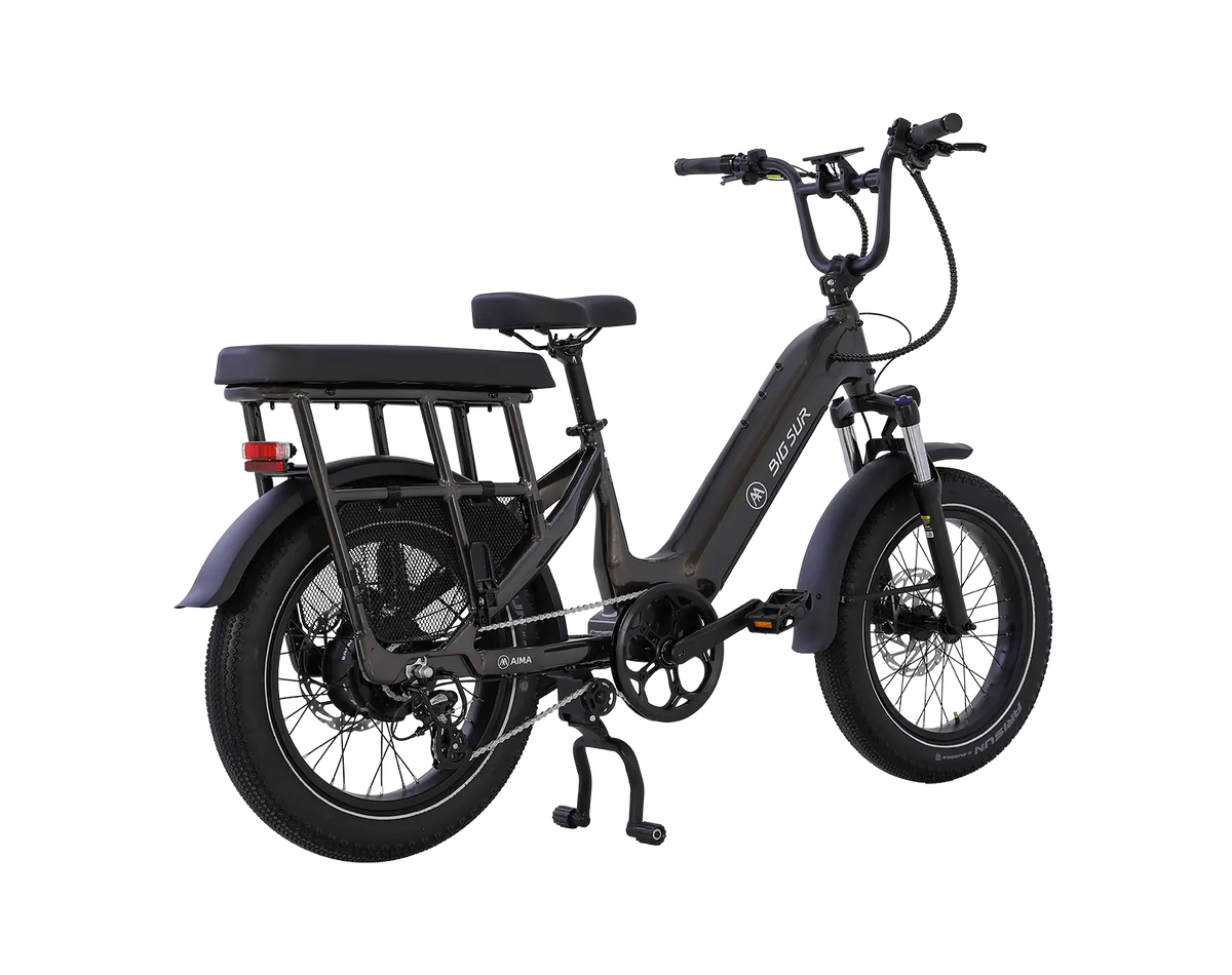 AIMA Big Sur U Cargo Ebike - view 10