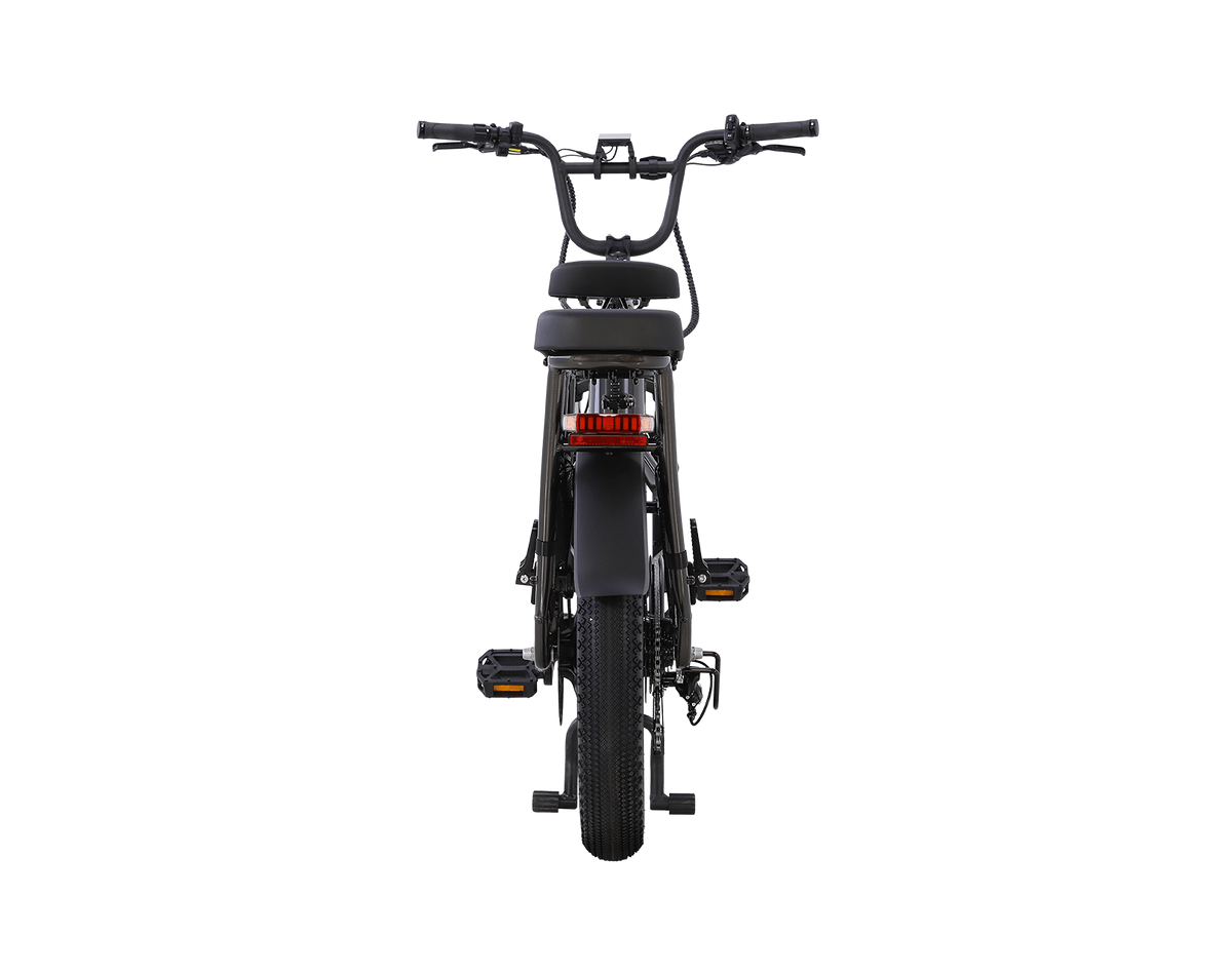 AIMA Big Sur U Cargo Ebike - view 11