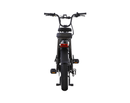 AIMA Big Sur U Cargo Ebike - view 11