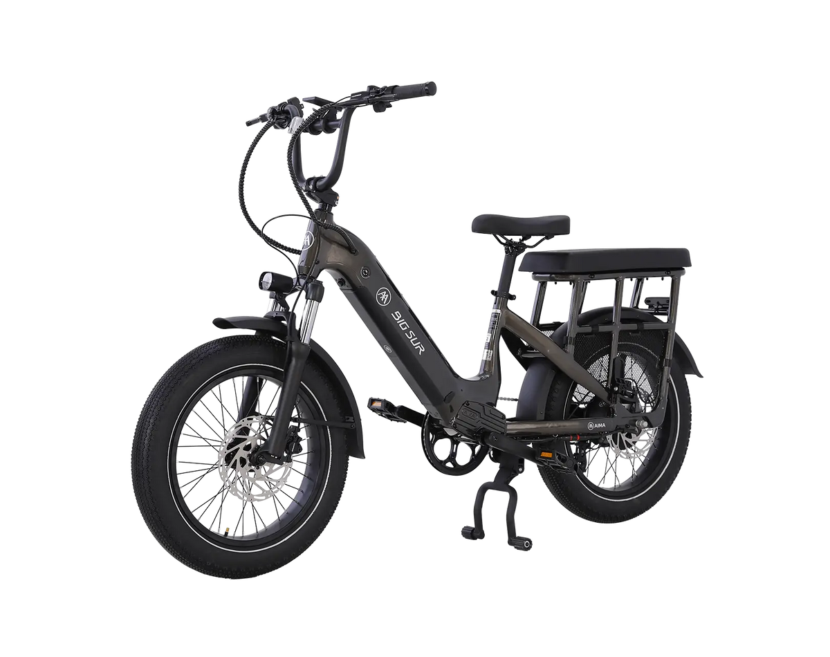 AIMA Big Sur U Cargo Ebike - view 14