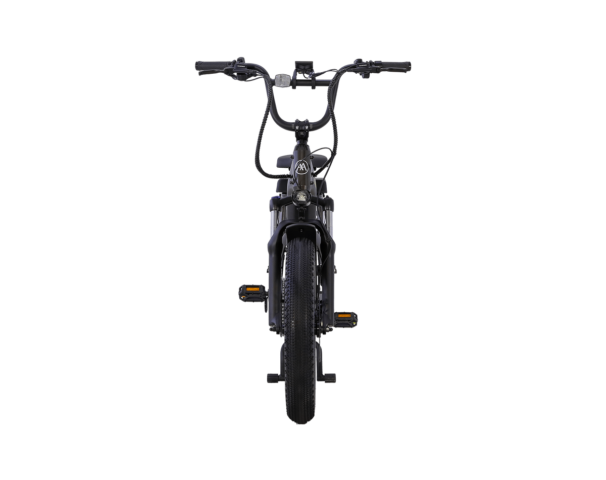 AIMA Big Sur U Cargo Ebike - view 15