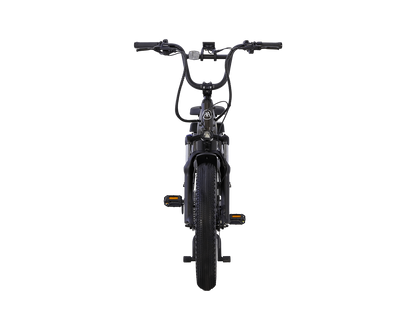 AIMA Big Sur U Cargo Ebike - view 15