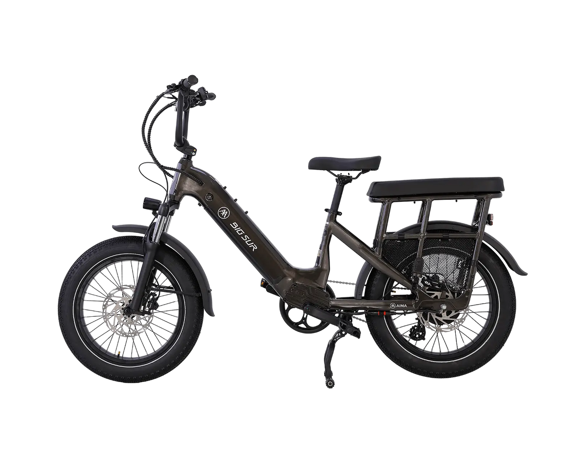AIMA Big Sur U Cargo Ebike - view 13