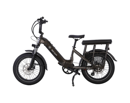 AIMA Big Sur U Cargo Ebike - view 13