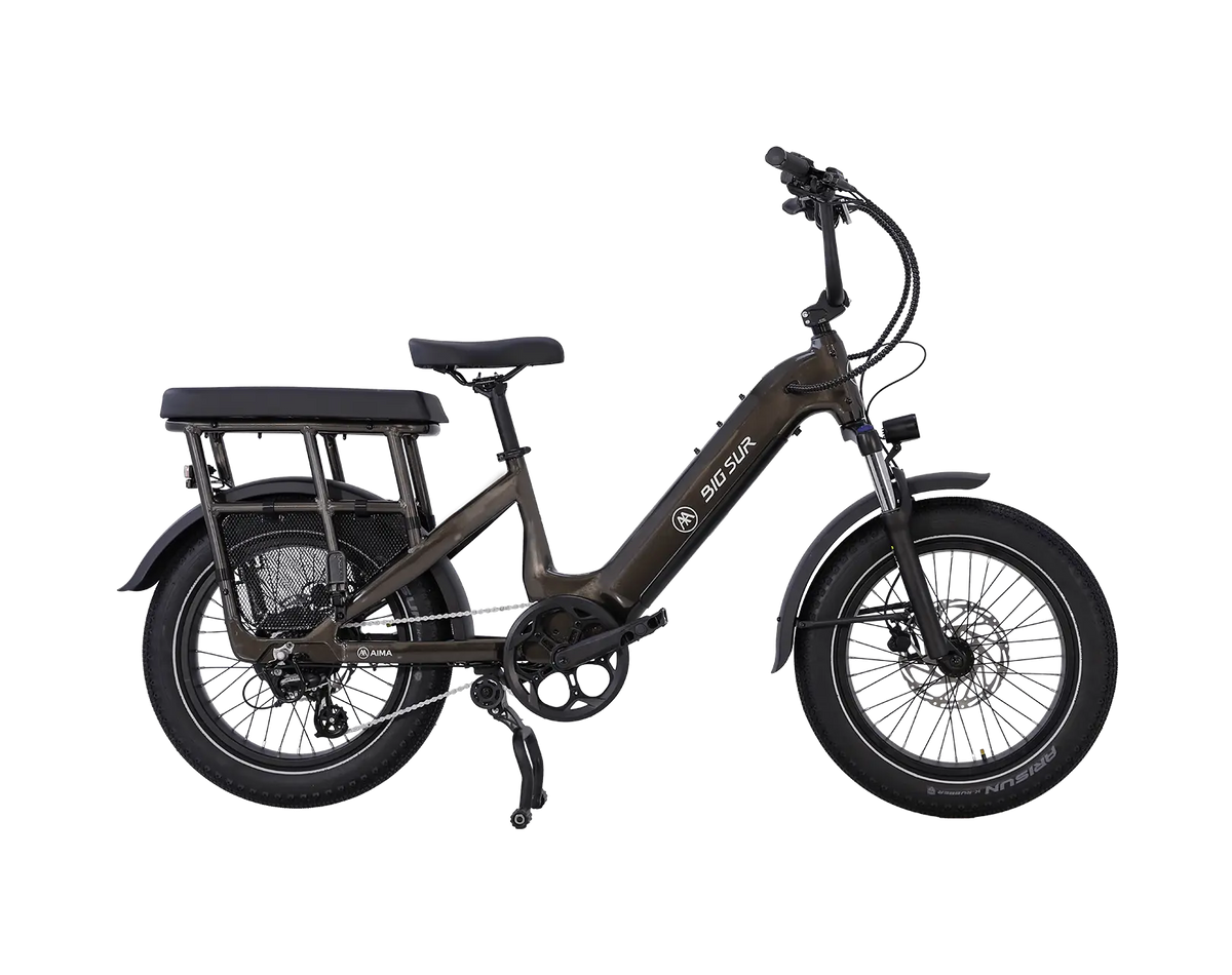AIMA Big Sur U Cargo Ebike - view 9