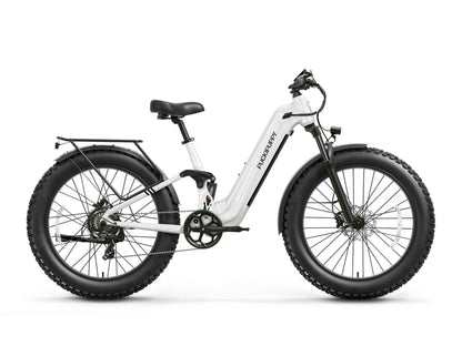 Puckipuppy Boxer ST Ebike
