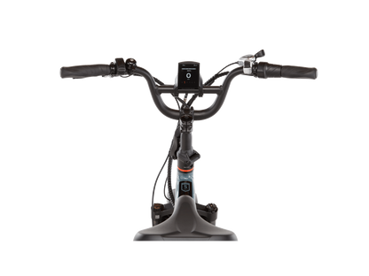 RadExpand™ 5 Plus Electric Folding Bike