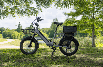 Velotric Go 1 Ebike