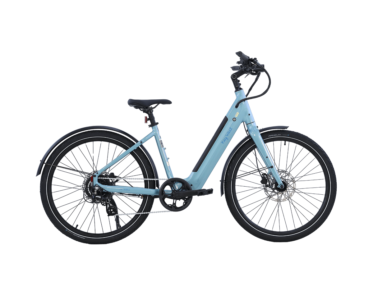 AIMA Key West Ebike - view 9