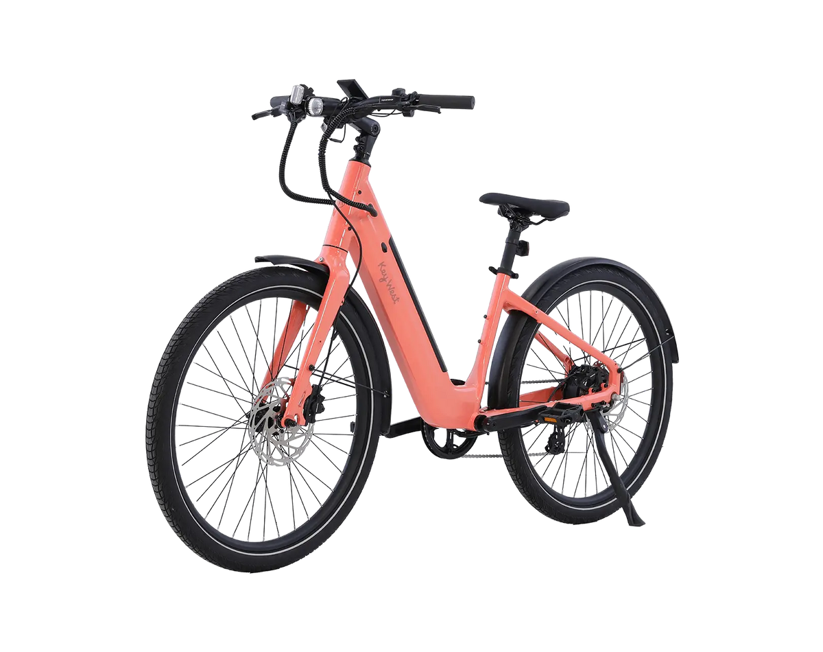 AIMA Key West Ebike - view 6