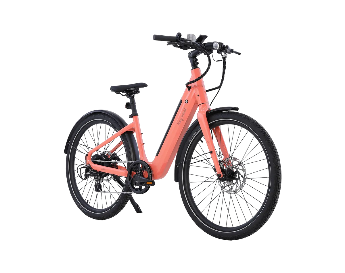 AIMA Key West Ebike - view 8