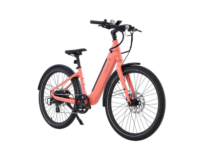 AIMA Key West Ebike - view 8