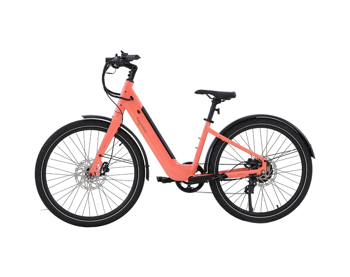 AIMA Key West Ebike - view 5