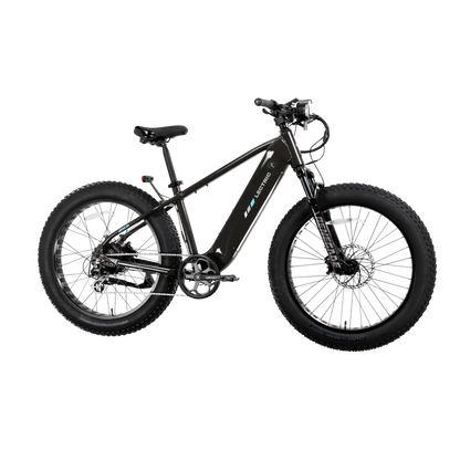 XPeak2 High-Step eBike