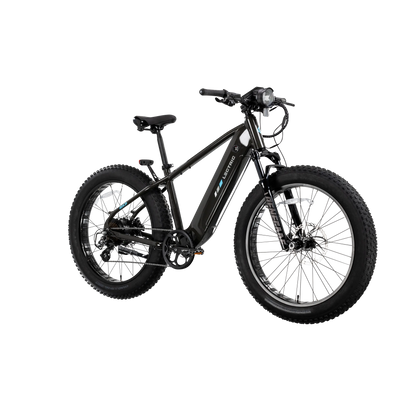XPeak2 High-Step eBike