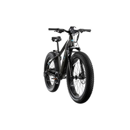 XPeak2 High-Step Long-Range eBike
