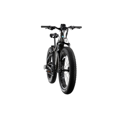 XPeak2 High-Step eBike