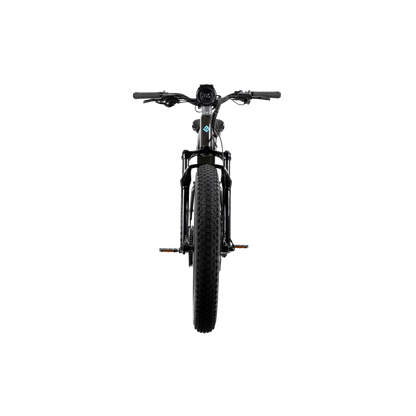 XPeak2 High-Step Long-Range eBike