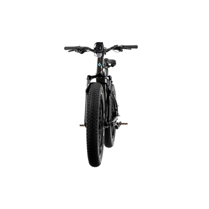 XPeak2 High-Step Long-Range eBike