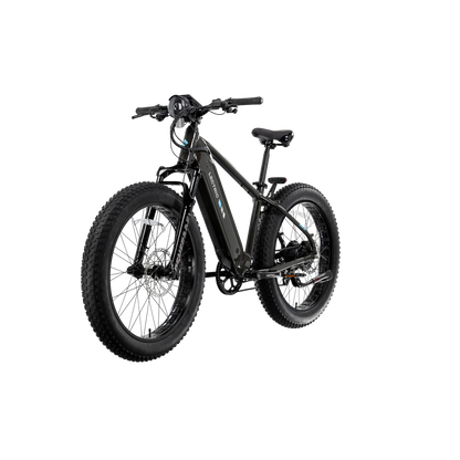 XPeak2 High-Step eBike