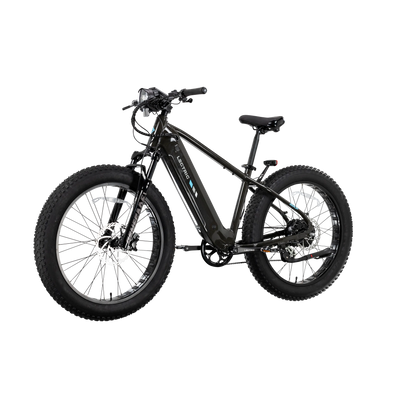 XPeak2 High-Step Long-Range eBike