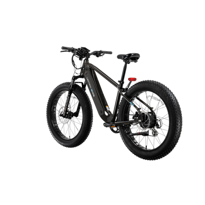 XPeak2 High-Step eBike
