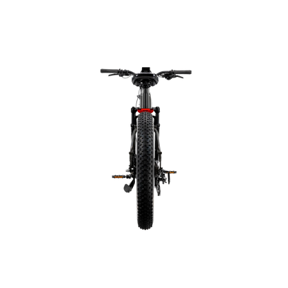 XPeak2 High-Step eBike