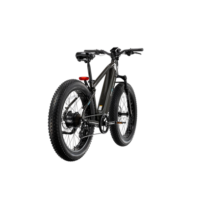 XPeak2 High-Step Long-Range eBike