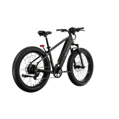 XPeak2 High-Step Long-Range eBike