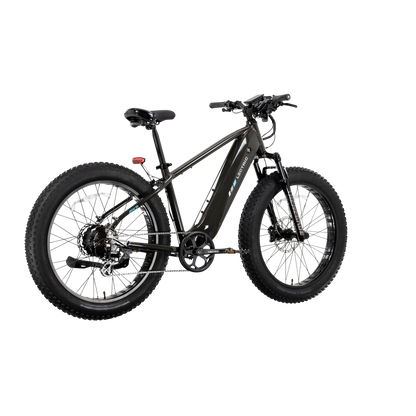 XPeak2 High-Step Long-Range eBike