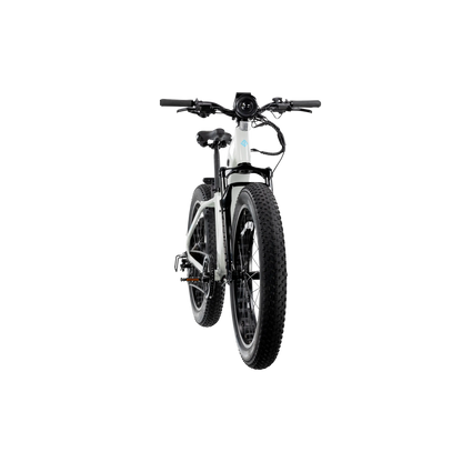XPeak2 Step-Thru Long-Range eBike