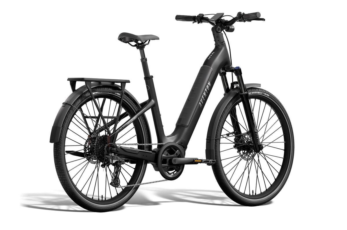 Aventon Level 4 ADV Step-Through Ebike - view 6