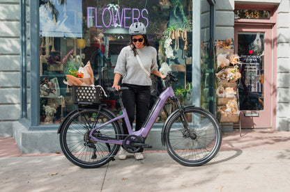 Aventon Level 4 ADV Ebike - view 10